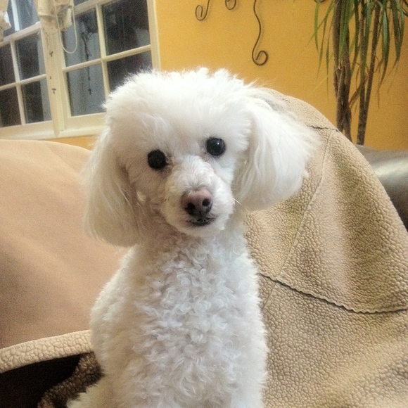 Meet your Posher, Summer - Picture 1 of 1